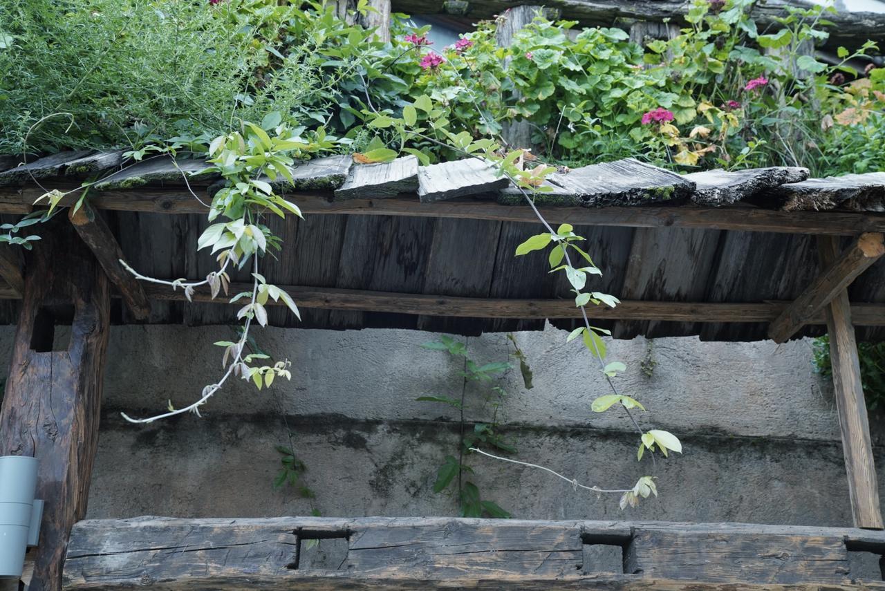 Ne-Tsang Inn Lijiang Лицзян Экстерьер фото